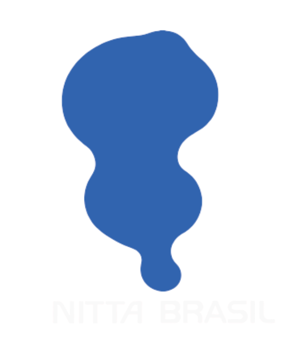 Nitta Brasil